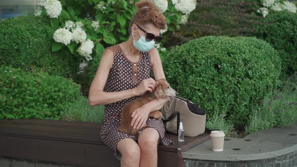 Senior Woman in Protective Mask Resting on Bench in City with Small Dog Dachshund Breed
