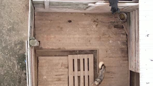 Aerial View of a Shelter for Stray Dogs