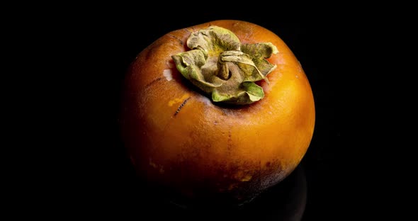 Yellow Persimmon Black Background Rotting Time Lapse  Video