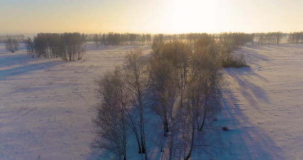 Aerial Drone View of Cold Winter Landscape with Arctic Field Trees Covered with Frost Snow and