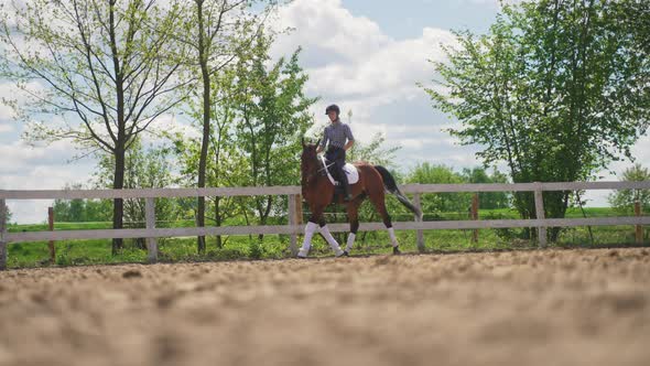 Female Jockey Riding On Dark Bay Horse Along The Wooden Fence In The Sandy Arena