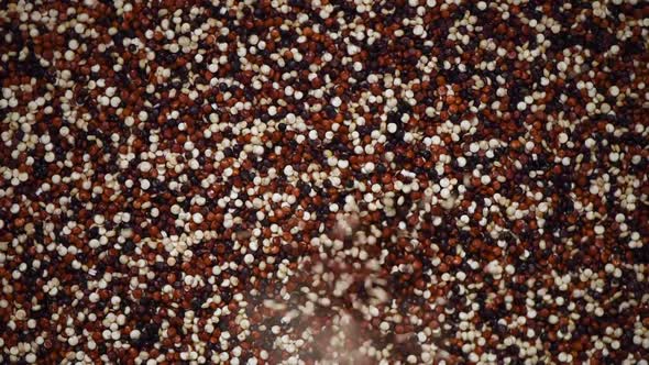 Multicolor Raw Organic Quinoa on Rotating Background. Healthy Food Ingredients. Copy Space