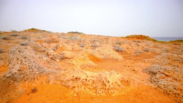 Yellow Fossil Coral Reef in Front of the Sea