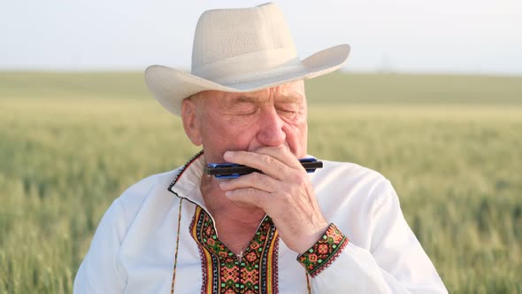 A Ukrainian Peasant Alone Plays the Harmonica in a Wheat Field