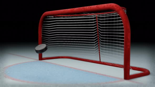 Hockey goal. The puck flies into the goal on the ice rink