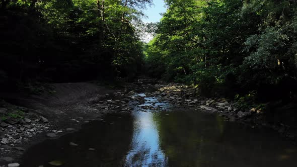 Mountain river in the forest.