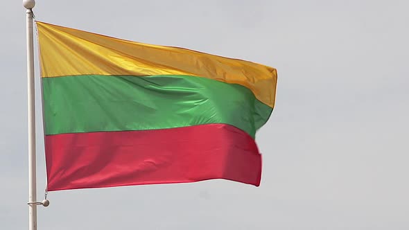 700764 Lithuanian Flag Waving in the Wind, Slow Motion