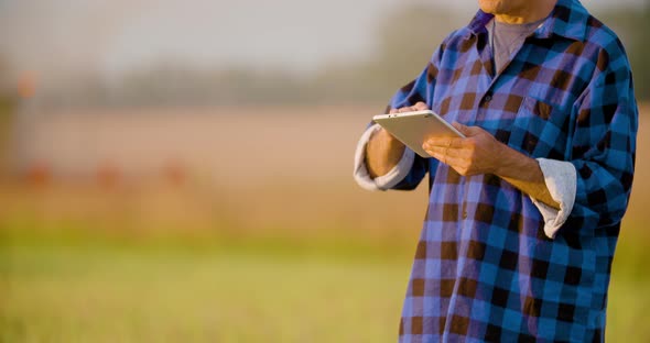 Farmer Using Digital Tablet Agriculture