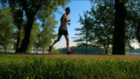 Sport People at Morning Park. Biking, Walking and Running.