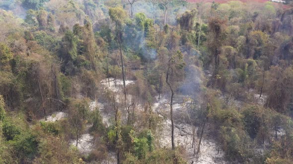 Burnt area of vegetation in Cerrado, Campinas City, Brazil