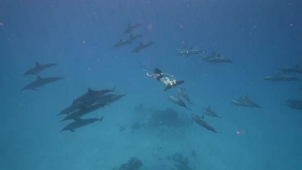 Beautiful Young Woman Swimming Underwater with Dolphins in Pristine Blue Ocean Water Amazing