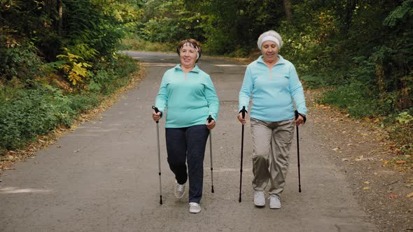 Elderly Women with Trekking Poles Walk in Nature