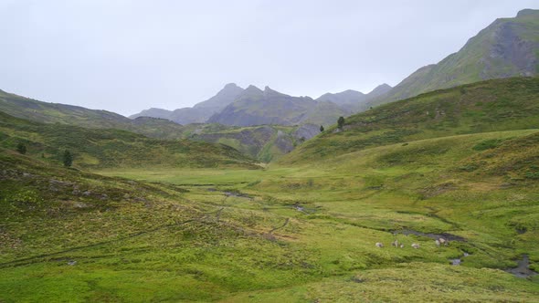 Majestic green mountain range in Spain