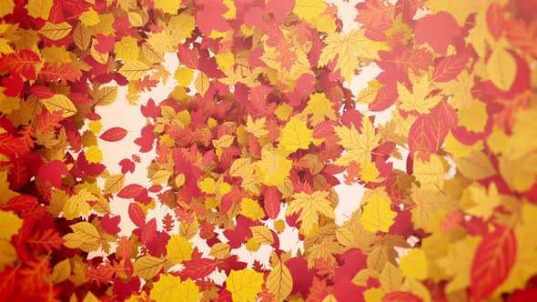 Autumn Leaf Background