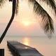 Tropical Sunrise Palm Tree - VideoHive Item for Sale