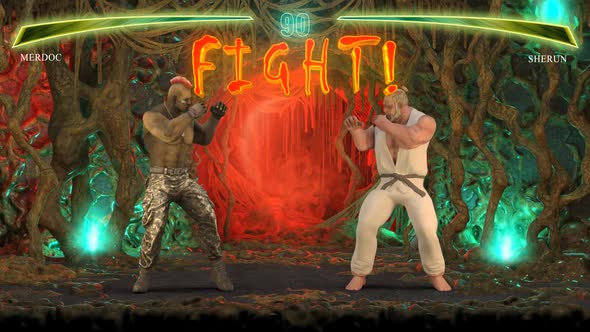 Fake Fighting Video Game