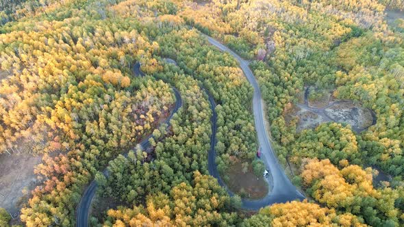 Aerial view of winding road cutting through colorful forest