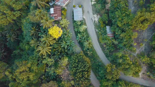 Aerial bird's eye view descending over a valley of forest and small roads in the Boljoon region of t