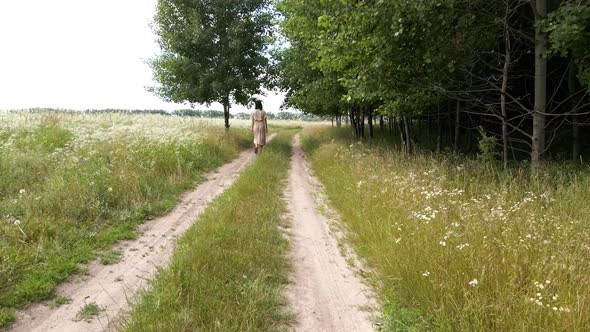 Drone Aerial View of Woman in Dress Walking in Flower Blooming Meadow and Tree