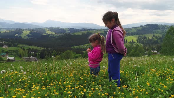 Children Playing on a Flowering Lawn Against the Backdrop of the Carpathian Mountains