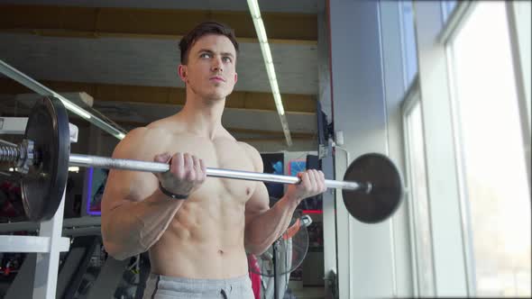 Ripped Shirtless Young Bodybuilder Lifting Barbell, Doing Biceps Exercise