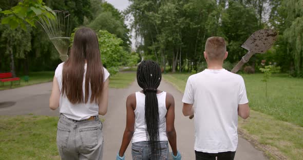 Three Volunteers Going to Plant a Seedling in Park