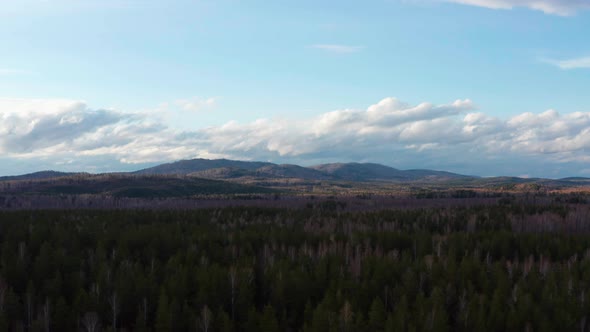 Aerial View of the Natural Landscape Forest on the Lake Shore at Sunset