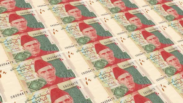 Pakistan  Money / 20 Pakistani Rupee 4K