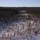 Aerial Flight Over the Winter Forest - VideoHive Item for Sale