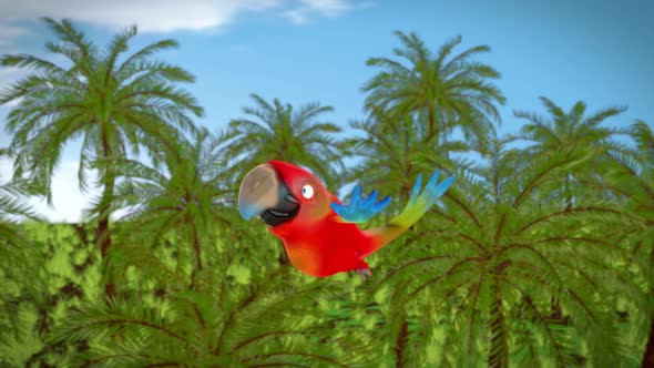 4K cartoon animation of a fun Parrot