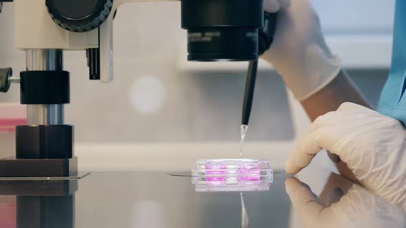 Lab Science Worker Is Analyzing and Relocating Fluids with a Pipette alt