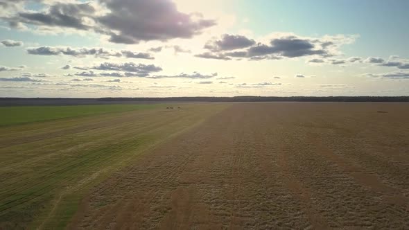 Aerial View Brown Field Under Bright Sun Hiding Behind Cloud