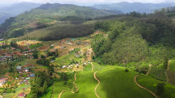 Tea Estate in the Mountainous Province View From Above