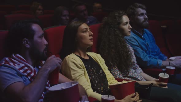 Cinema Audience