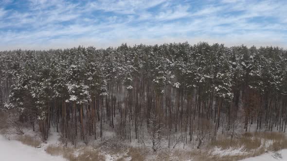 Aerial View Falling Snow On Trees In The Forest