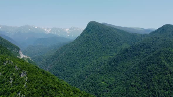 Mountain and forest aerial view