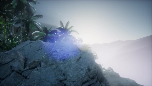 Sunset Beams Through Palm Trees alt