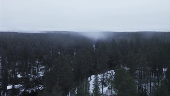 A DRONE FOOTAGE OF A FOREST ON A MOODY DAY