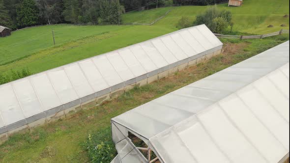 Summer Landscape with Greenhouses Top View