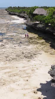 Vertical Video of the Ocean Near the Coast of Zanzibar Tanzania