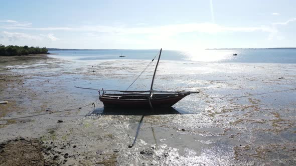 Shore of Zanzibar Island Tanzania at Low Tide