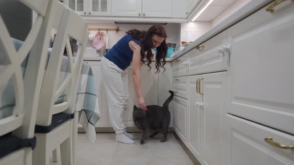 Woman Cooking Dinner in the Kitchen Hungry Cat Begging for Food