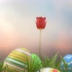 Easter Eggs - VideoHive Item for Sale