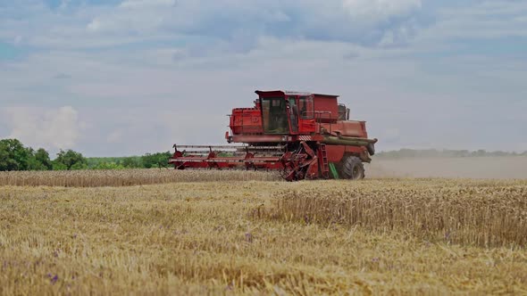 Combine harvester harvest ripe wheat on a farm. Harvest time.