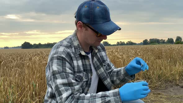 Agronomist Conducting Soil Acidity Test Litmus Paper at Field Dawn