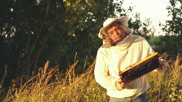 Beekeeper Inspects the Frame with Bees