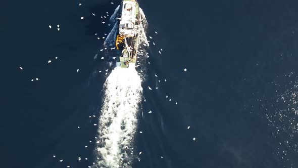 amazing drone shot of fisherman boat with seagulls