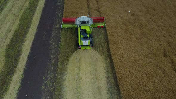 Harvester Machine Working In Field. Combine harvester agriculture machine harvesting golden field