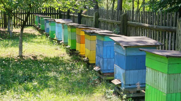 Few beehives in sunny day in summer, Poland