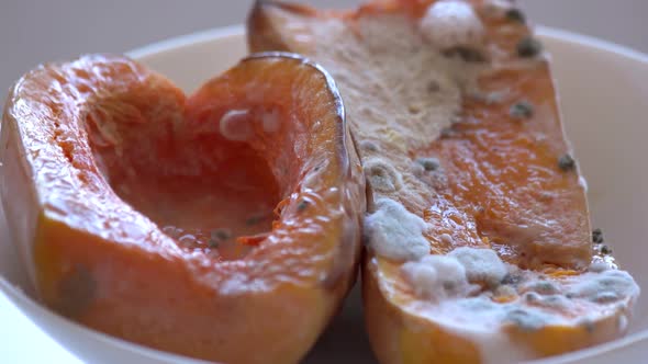 Close Up Bowl with Rotten Vegetable